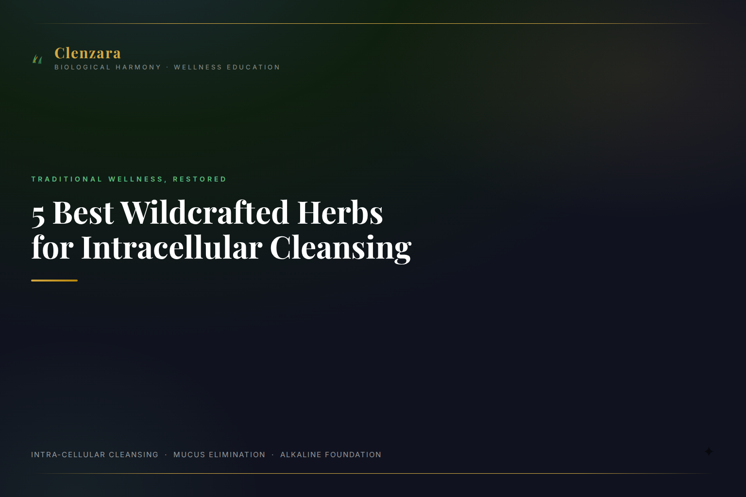 Best Wildcrafted Herbs Intracellular Cleansing — Clenzara Traditional Wellness Guide