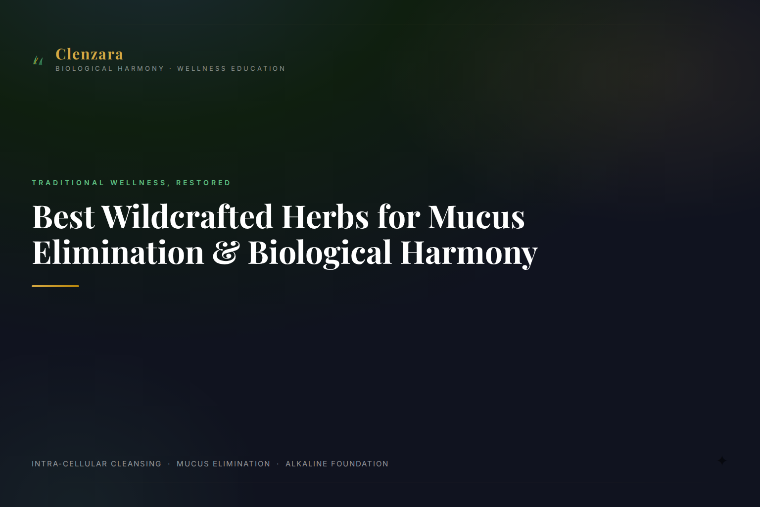 Best Wildcrafted Herbs Mucus Elimination — Clenzara Traditional Wellness Guide
