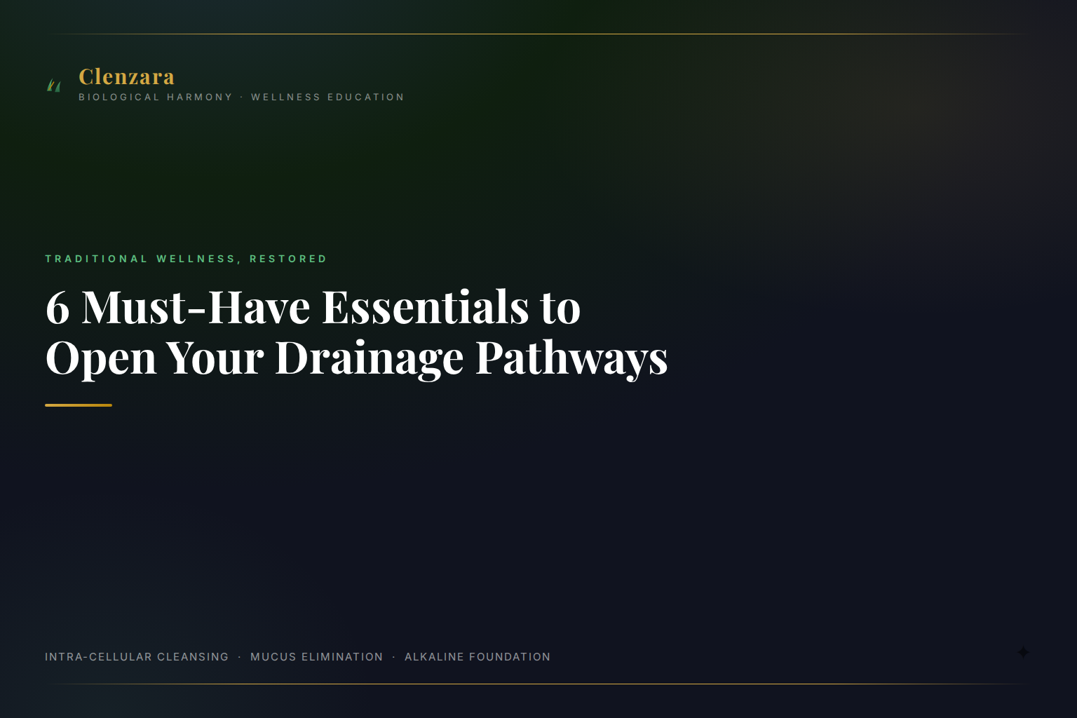 Drainage Pathway Essentials — Clenzara Traditional Wellness Guide