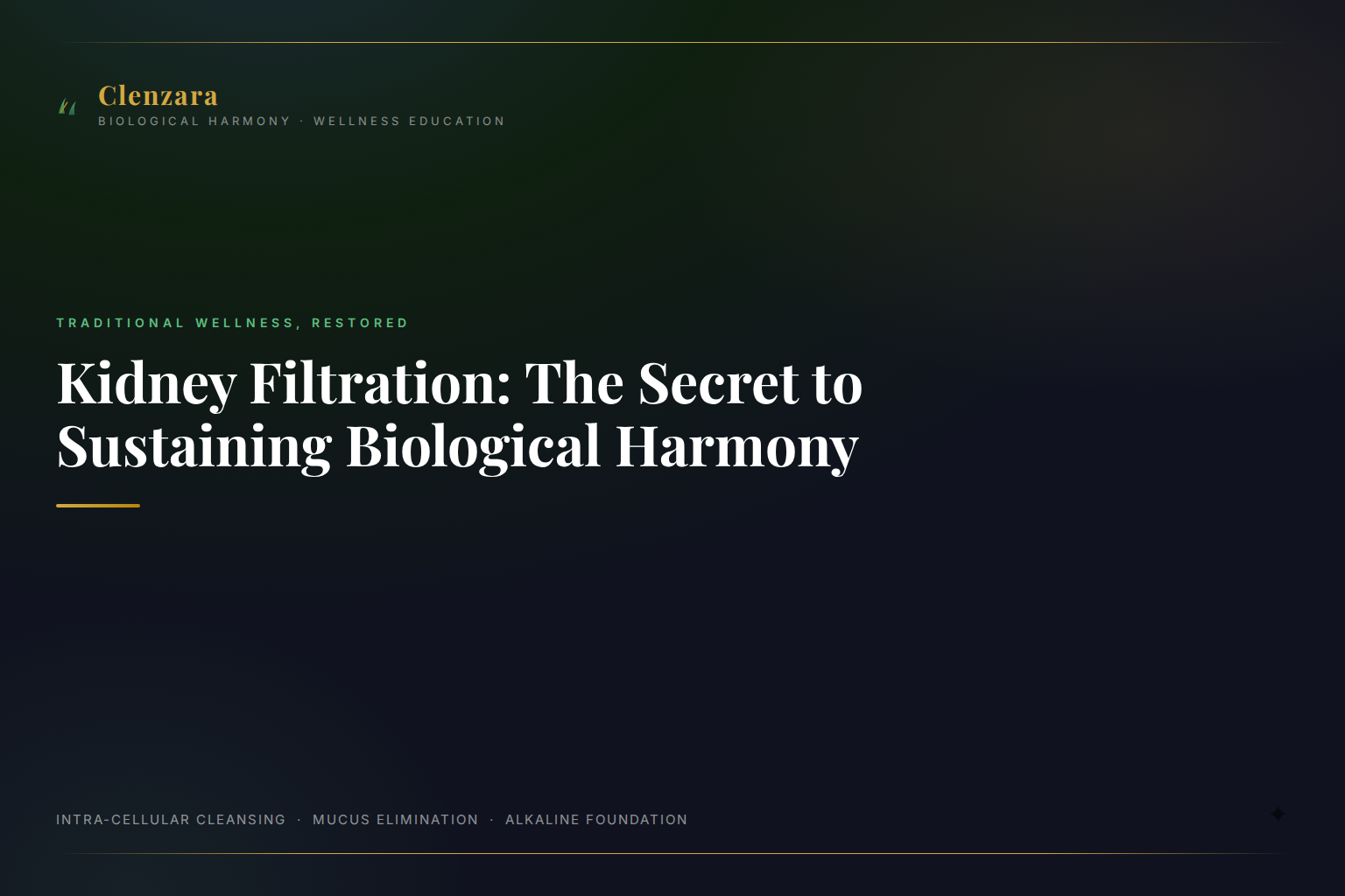 Kidney Filtration Detox Biological Harmony — Clenzara Traditional Wellness Guide