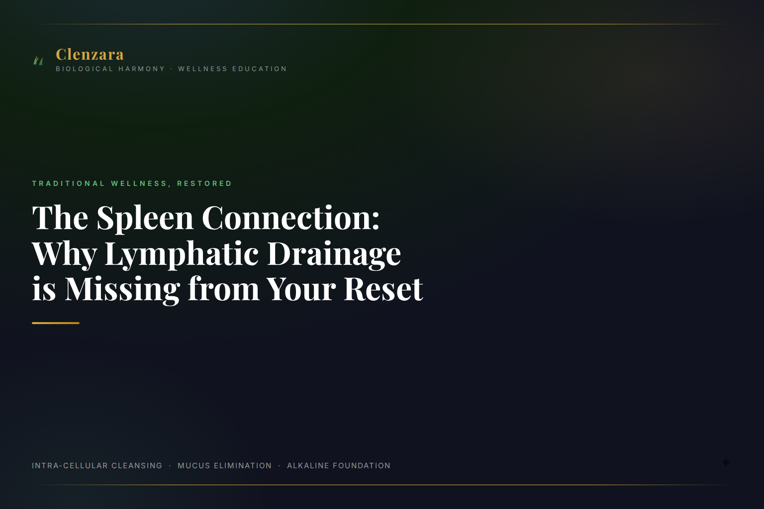 Lymphatic Drainage Gut Health Spleen — Clenzara Traditional Wellness Guide