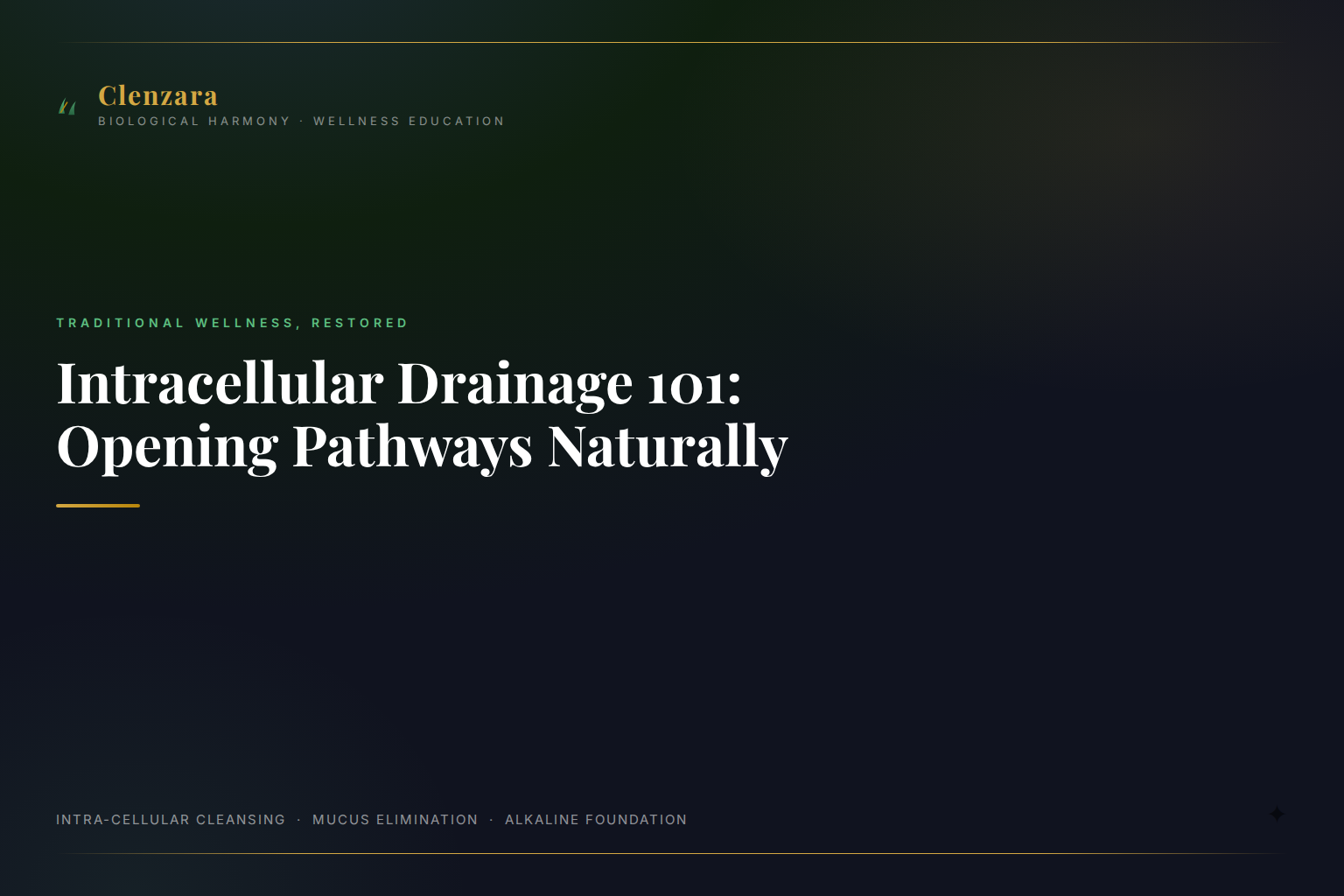 Opening Drainage Pathways Beginners — Clenzara Traditional Wellness Guide