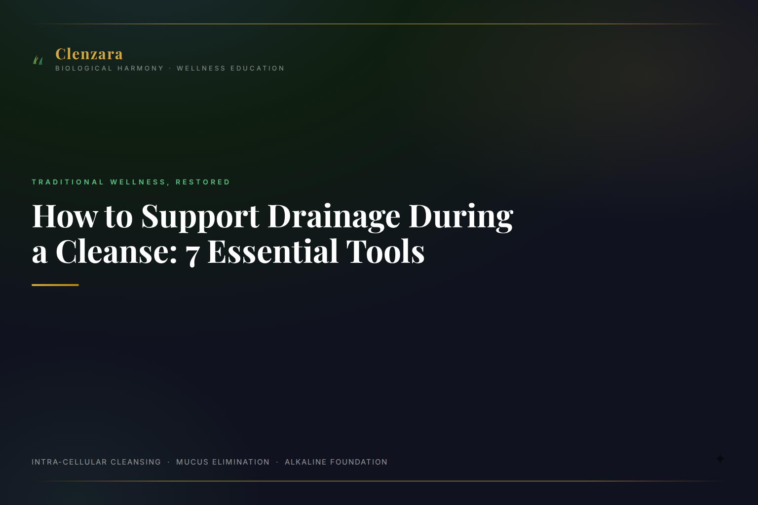 Supporting Drainage Pathways Cleansing — Clenzara Traditional Wellness Guide